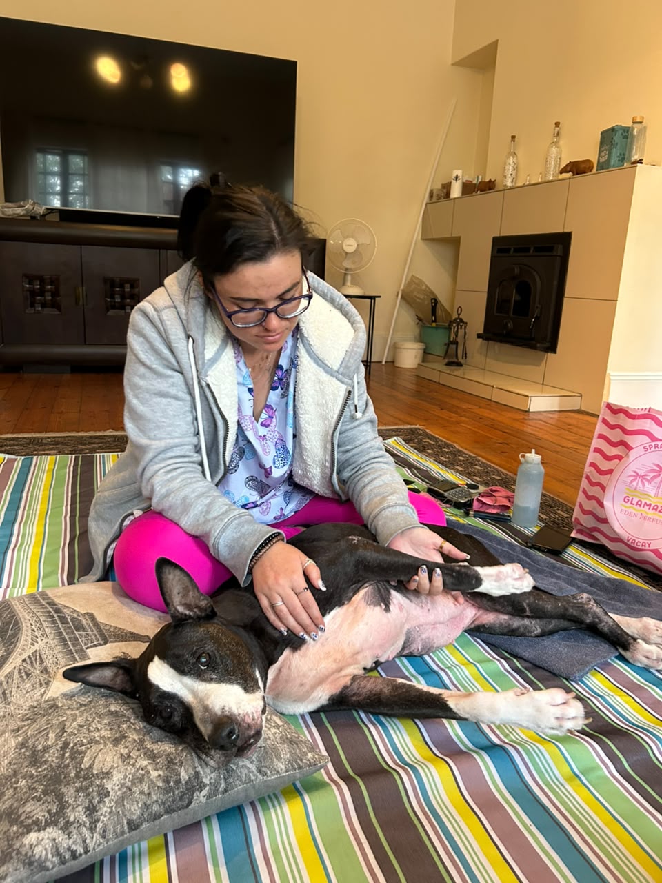 Savannah gently moving a dog's leg during a home session