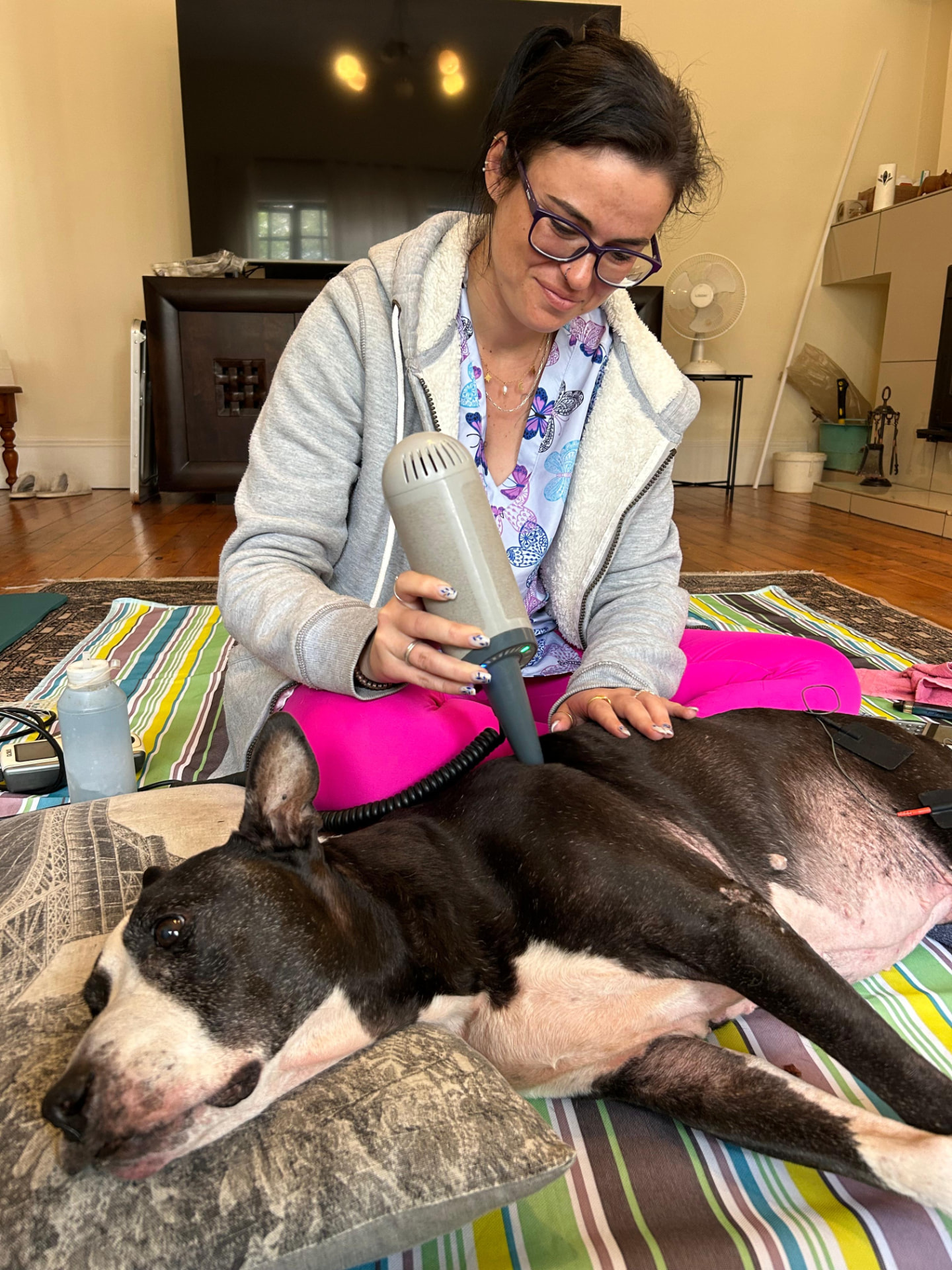 Savannah using a handheld treatment device on a dog